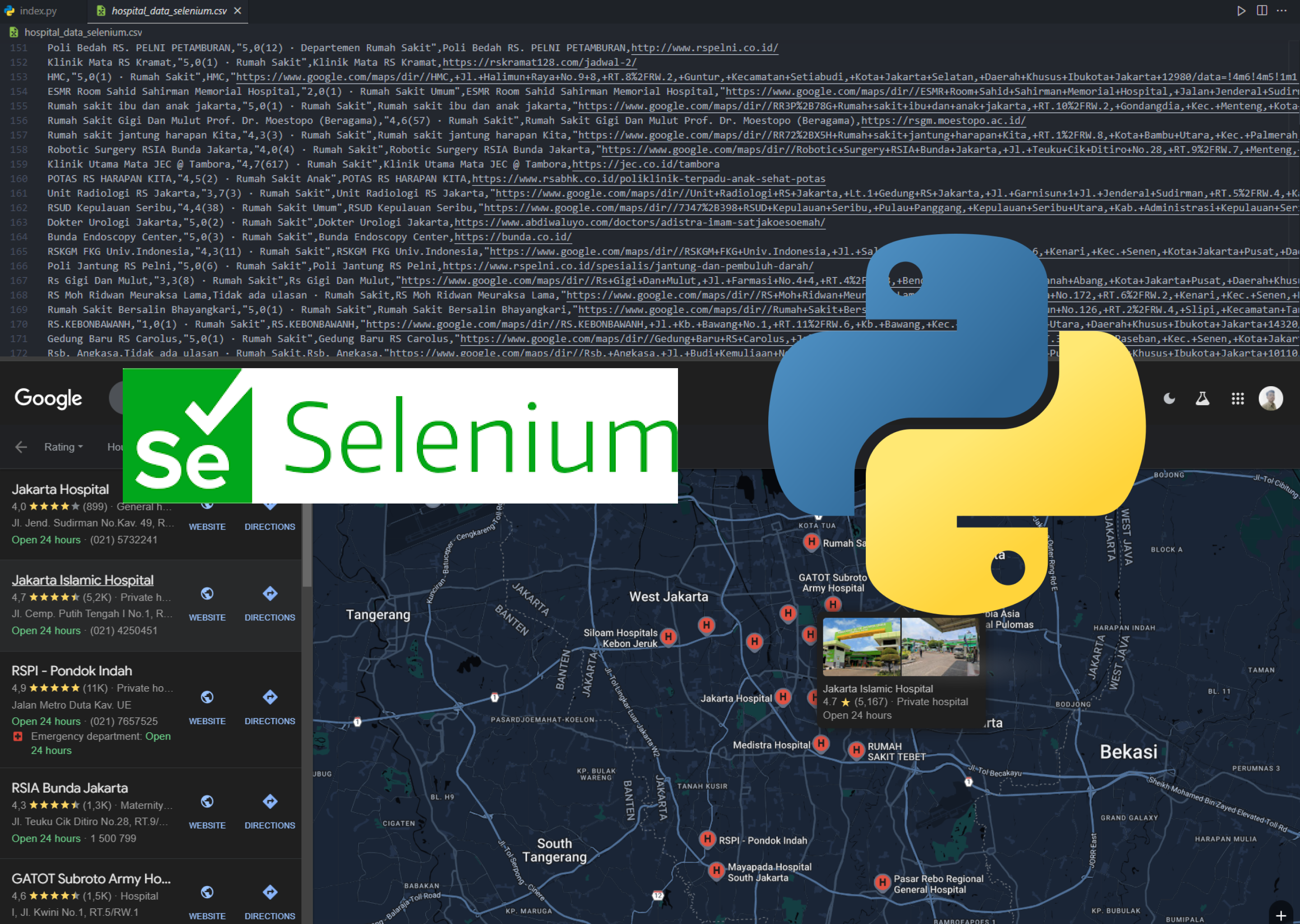 Scraping Data Rumah Sakit dari Google dengan Selenium