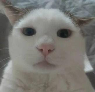 Mochammad Wahyu Ramadhan