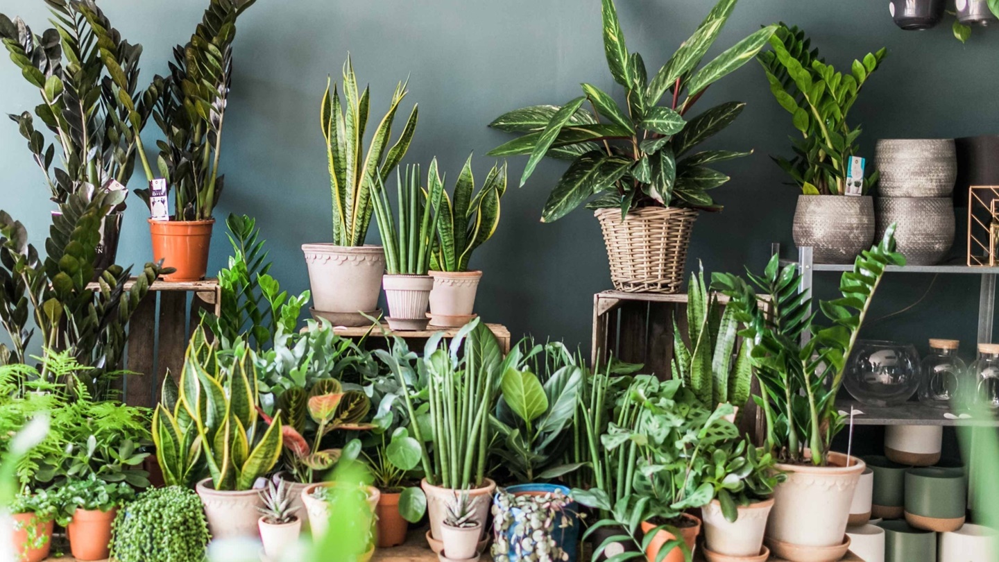 Teknologi Terbaik untuk Merawat Tanaman dengan Mudah dan Seru!